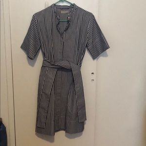 NWT Everlane Cotton Collarless Belted Shirtdress
